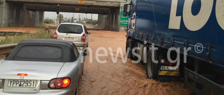 Μάνδρα: Ξανά στο έλεος της καταρρακτώδους βροχής! Ακινητοποιήθηκαν αυτοκίνητα - Ορμητικοί "χείμαρροι" οι δρόμοι