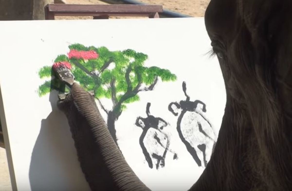 Ποιος είπε ότι οι ελέφαντες δεν ζωγραφίζουν…