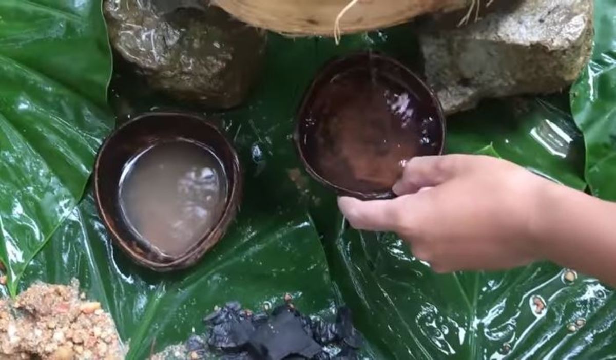 Πώς φιλτράρουν το νερό στη ζούγκλα