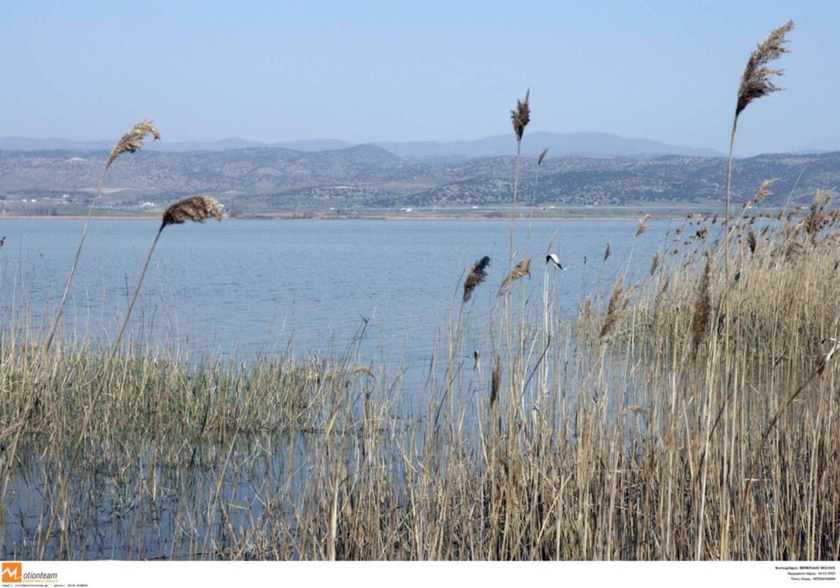 Θεσσαλονίκη: Ραγδαία υποβάθμιση της ποιότητας νερού στη λίμνη Κορώνεια – Προβληματισμένοι οι ειδικοί!