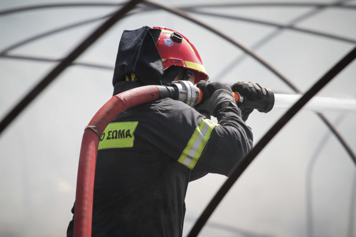 Ηλεία: Υπό μερικό έλεγχο η φωτιά που πλησίασε σπίτια στην Σπιάντζα – Παραμένουν οι πυροσβέστες [pics]