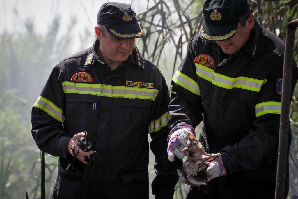 Ναύπλιο: Συναγερμός για μεγάλη φωτιά σε σπίτι – Αγώνας δρόμου από τους πυροσβέστες!