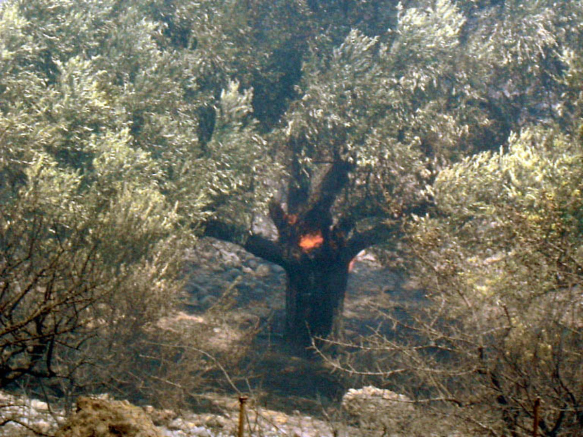 Κρήτη: Έρευνες της Πυροσβεστικής για τις φωτιές σε Κακόπετρο και Βρύσες