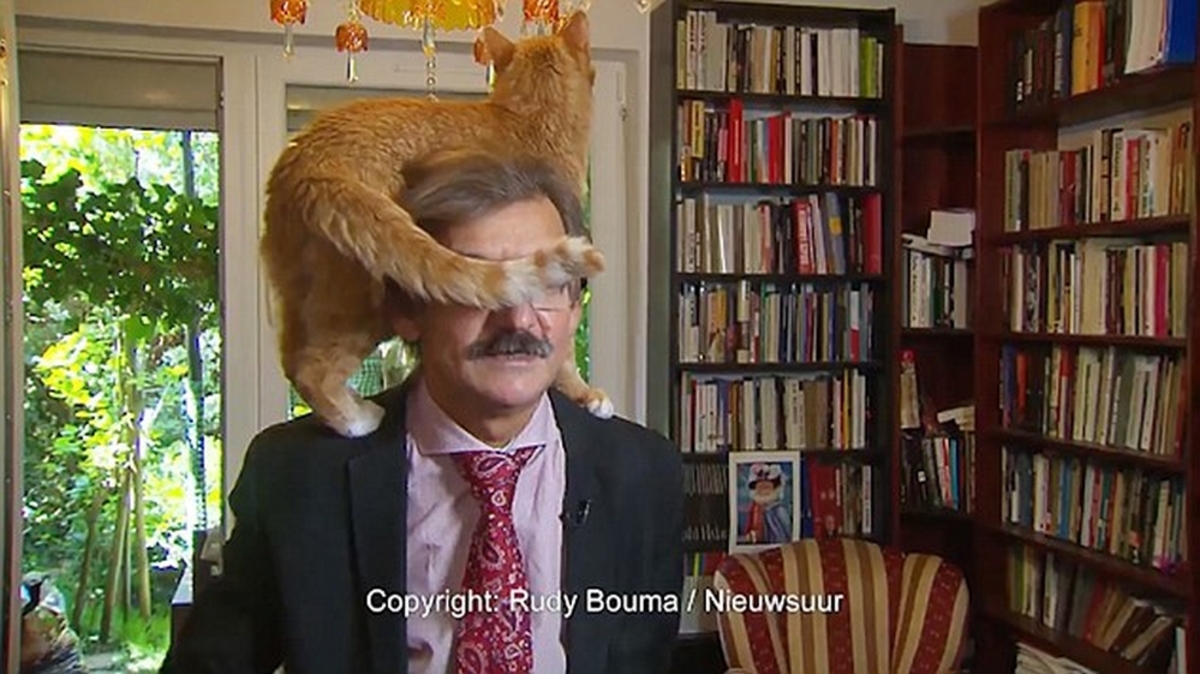 Επική αντίδραση! Έδινε live συνέντευξη και σκαρφάλωσε η γάτα στο κεφάλι του – video