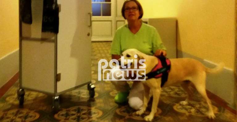 Από αδέσποτο στην Πύργο έγινε σκύλος θεραπείας στην Ελβετία