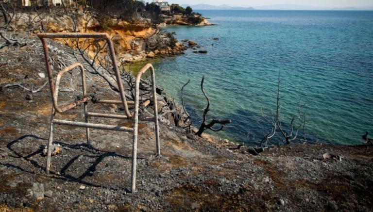 "Θα έχουμε 120 νεκρούς από τις φωτιές! Συγκαλύπτουν τους πραγματικούς ενόχους" - "Καταπέλτης" ο δήμαρχος Ραφήνας