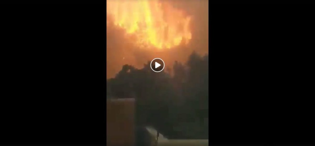 Νέο δραματικό βίντεο με τις τεράστιες φλόγες στην Αττική – Πατέρας αγωνίζεται να σώσει τη γυναίκα και τα δύο τους παιδιά!
