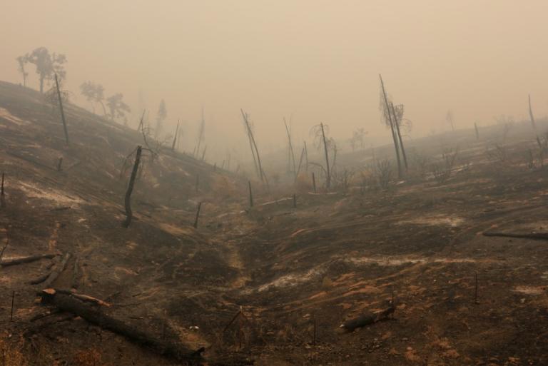 Δραματικές στιγμές στην Καλιφόρνια! 16 αγνοούμενοι από τις καταστροφικές φωτιές