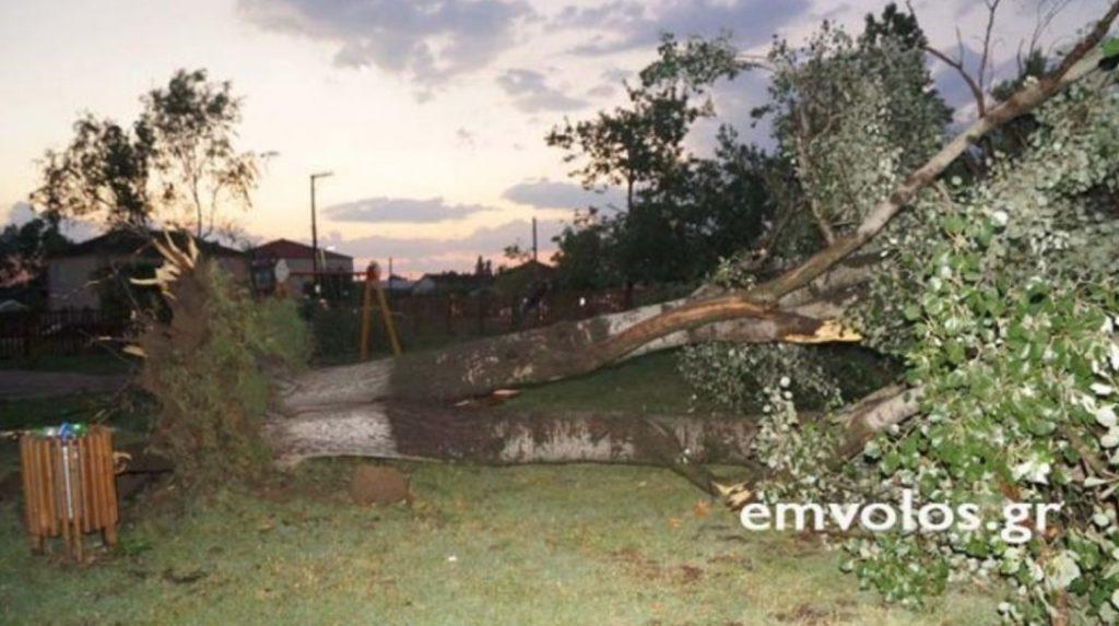 Ημαθία: Η ανεμοθύελλα σάρωσε τον οικισμό των Τρικάλων – Ζημιές σε υποδομές και περιουσίες!