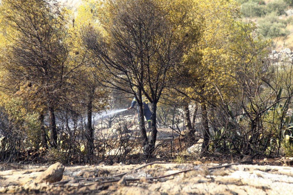 Μεσολόγγι: Φωτιά μαίνεται κοντά στον αρχαιολογικό χώρο των Οινιαδών