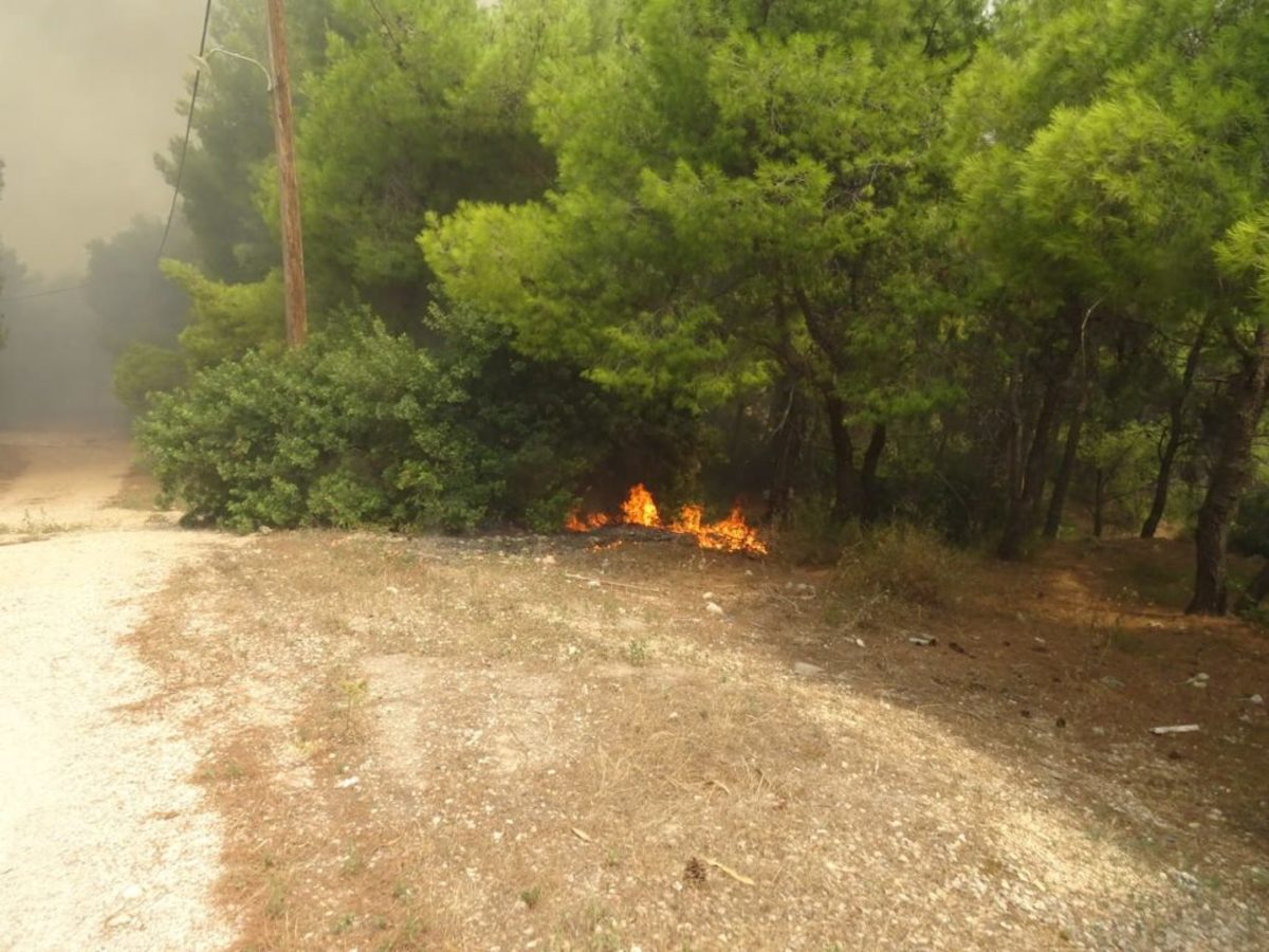 Σάμος: Συνελήφθη 44χρονος για εμπρησμό