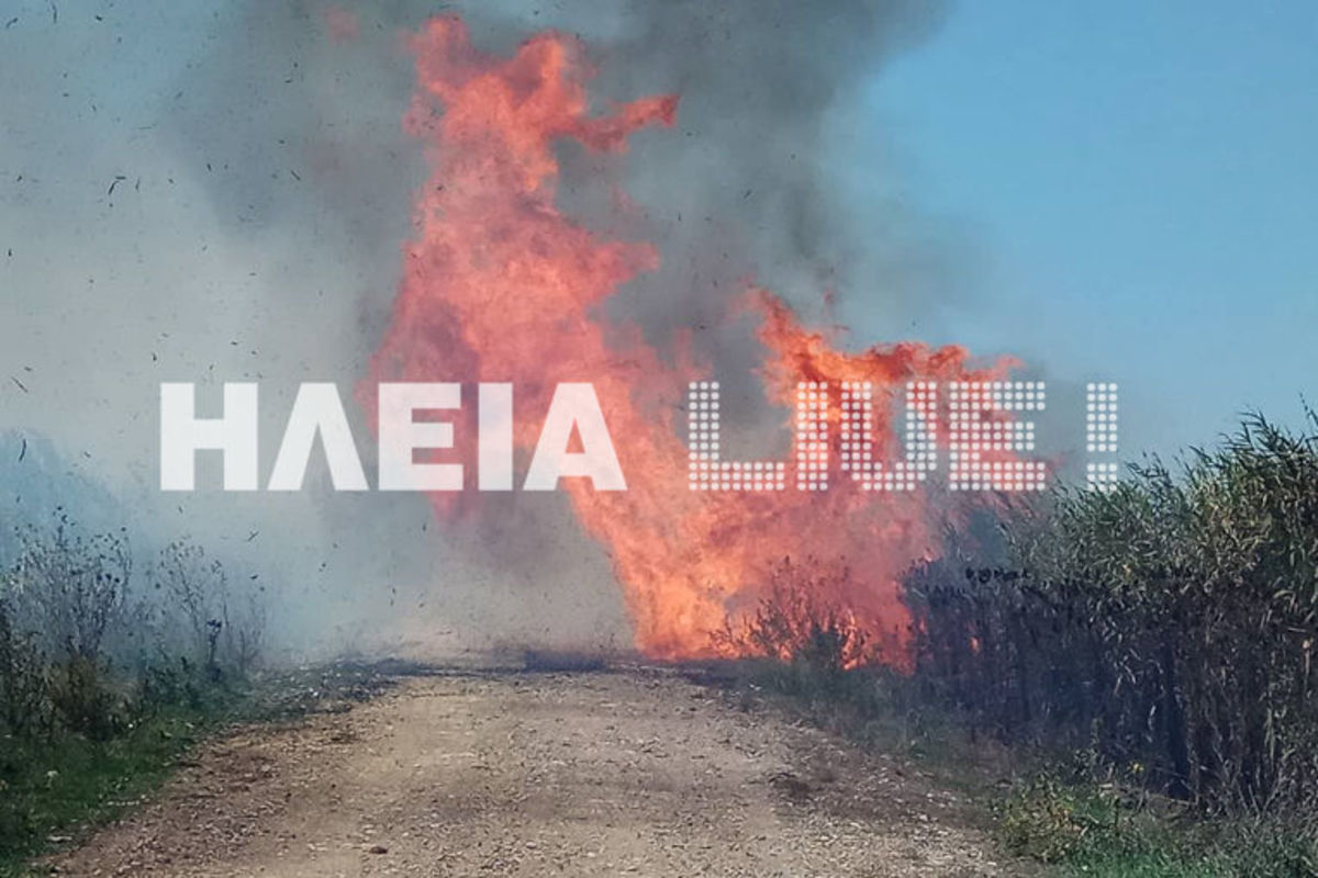 Ηλεία: Μεγάλη φωτιά στη Σπιάντζα πλησίασε σπίτια – Πυροσβέστες απέτρεψαν τα χειρότερα [pics]