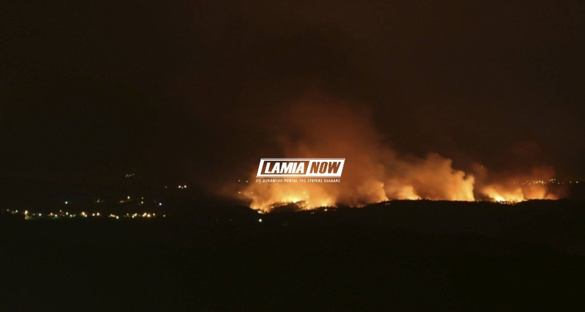 Φθιώτιδα: Μάχη με τις φλόγες κοντά στα μεταλλεία της ΛΑΡΚΟ – Δύσκολη νύχτα για κατοίκους και πυροσβέστες [pics]