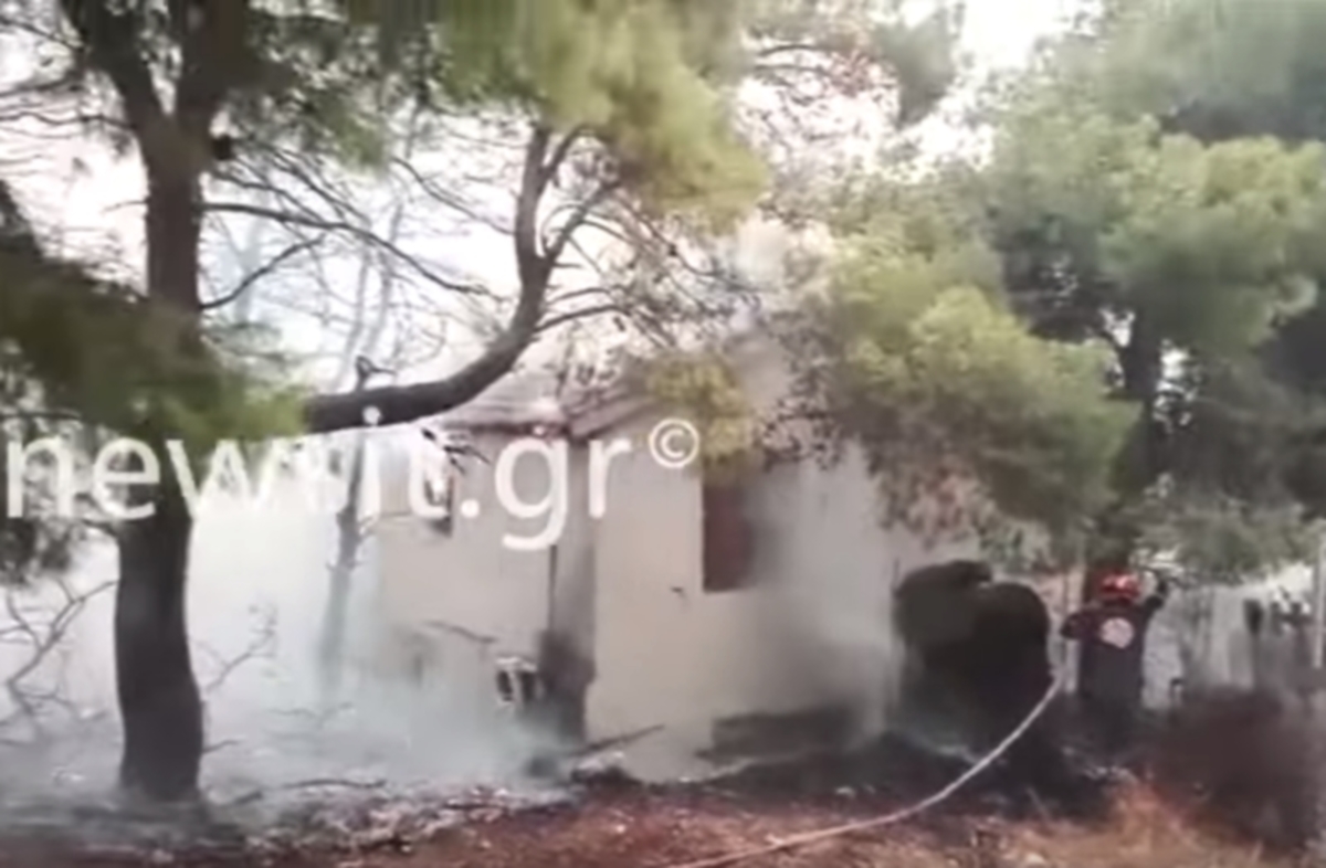 Φωτιά στην Κινέτα – Καίγονται σπίτια στον οικισμό Πανόραμα