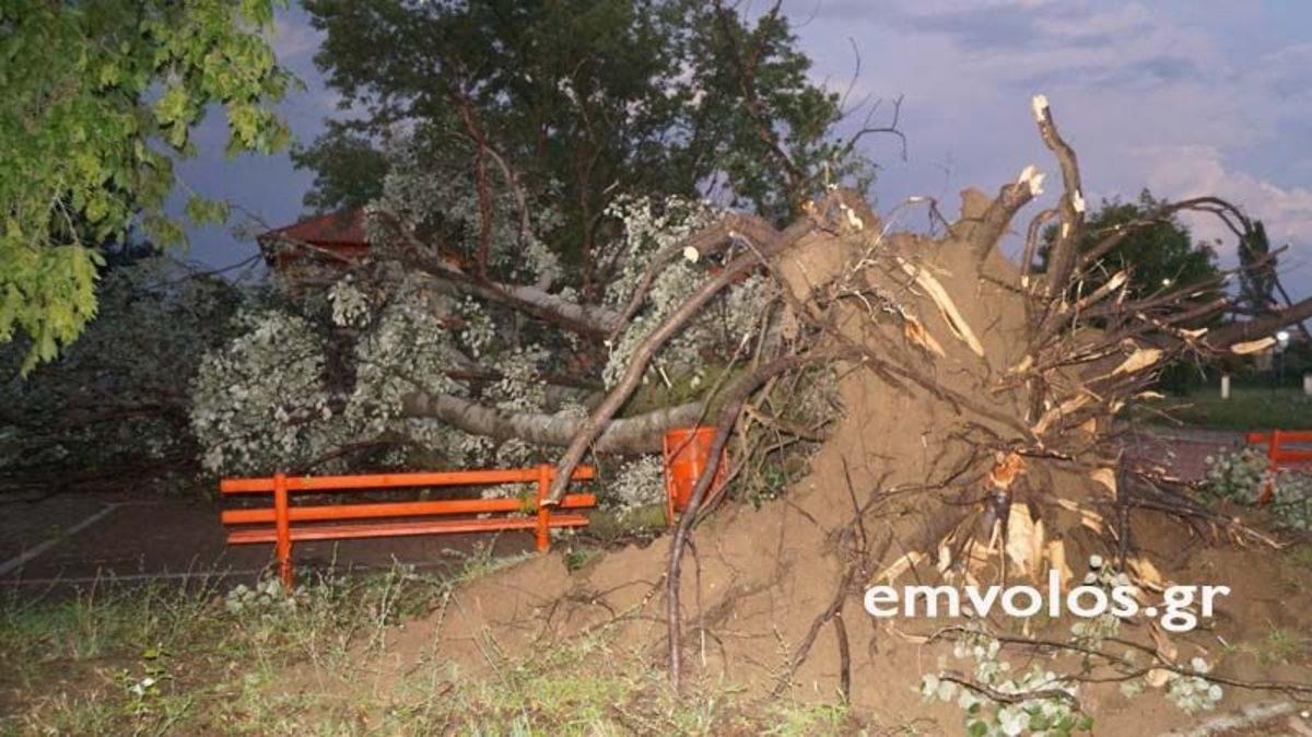 Ημαθία: Μετρούν τις πληγές τους από την ισχυρή ανεμοθύελλα – «Μας θύμισε αμερικανικούς τυφώνες»