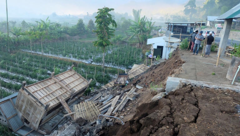 14 νεκροί από τον ισχυρό σεισμό στην Ινδονησία! Συγκλονιστικές εικόνες