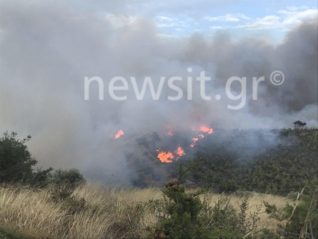 Σε πύρινο κλοιό η χώρα! Φωτιά στην Πεντέλη – video