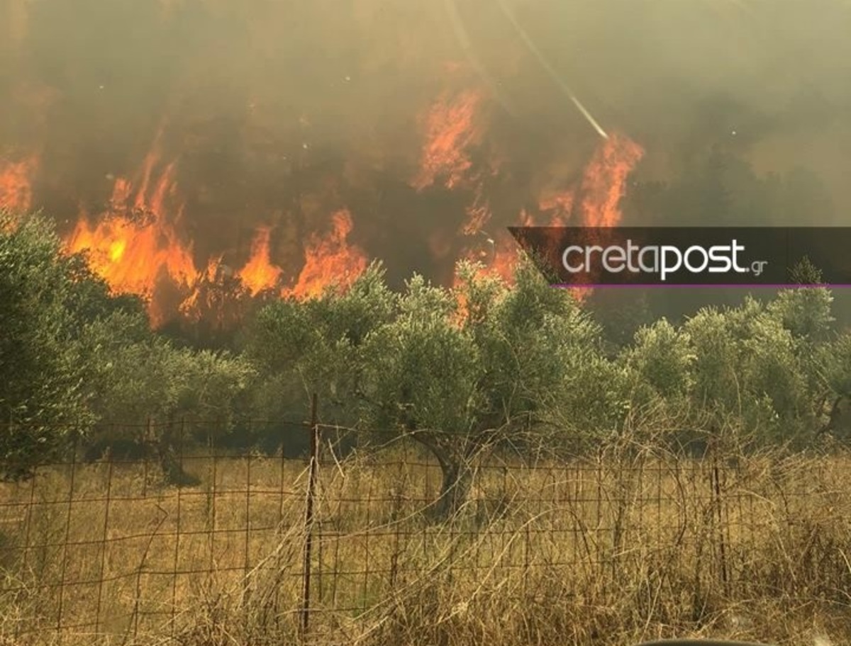 Κρήτη: Σε πλήρη εξέλιξη η μεγάλη φωτιά – Καταστρέφει δάσος