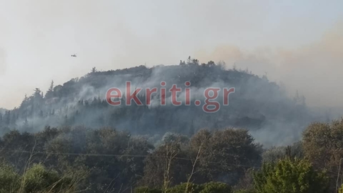 Κρήτη: Χιλιάδες στρέμματα έγιναν στάχτη στη μεγάλη φωτιά