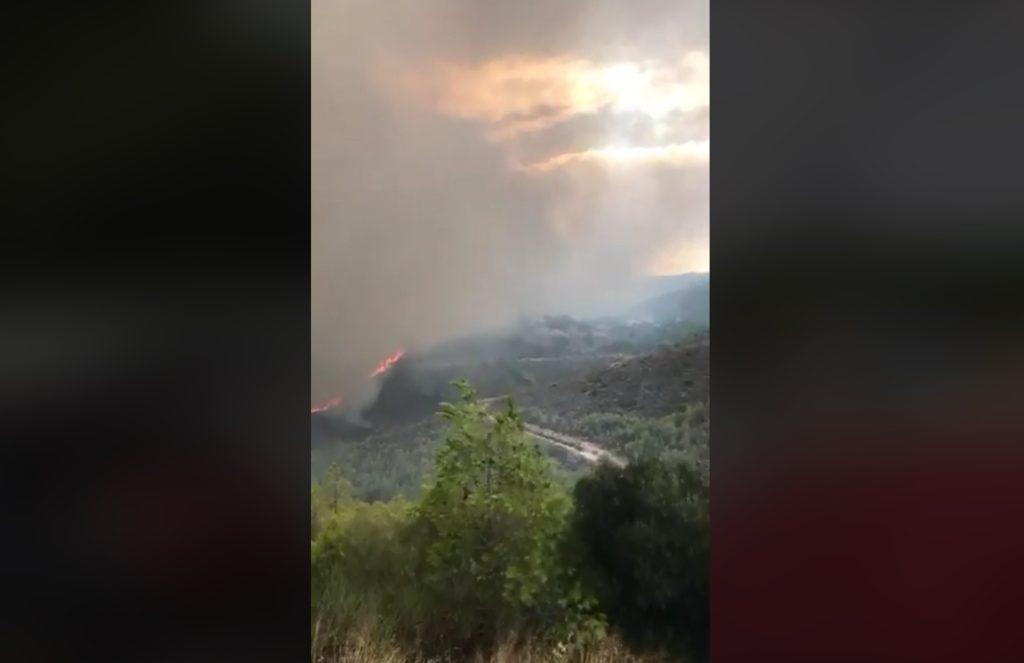 Νεκρός γνωστός chef μαζί με την οικογένειά του στη φωτιά στο Μάτι! Ανατριχιαστικό βίντεο που τράβηξε ο ίδιος λίγο πριν “χαθούν”!