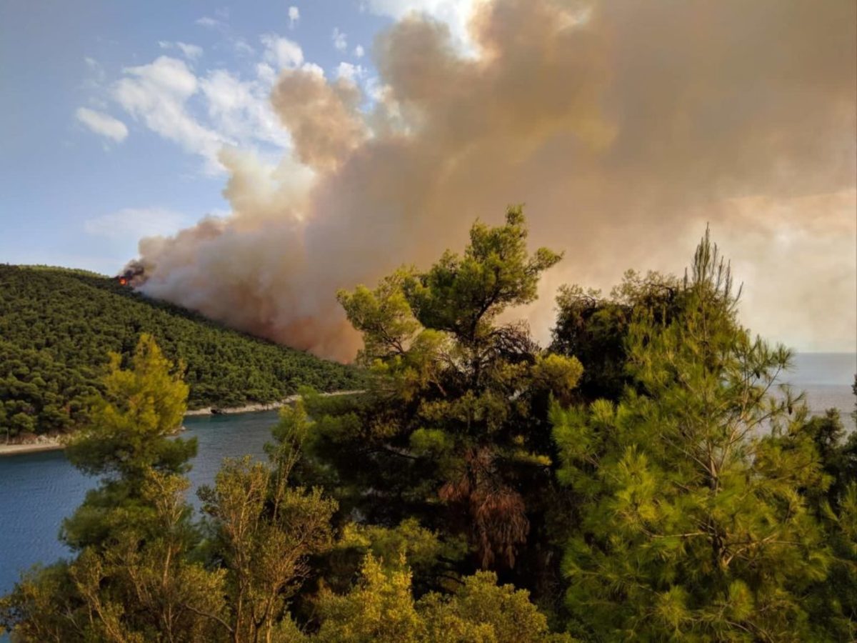 Σκόπελος: Η στιγμή που η φωτιά φαίνεται από τη Σκιάθο – Οι πρώτες ενδείξεις για τα αίτια που την προκάλεσαν [pics]