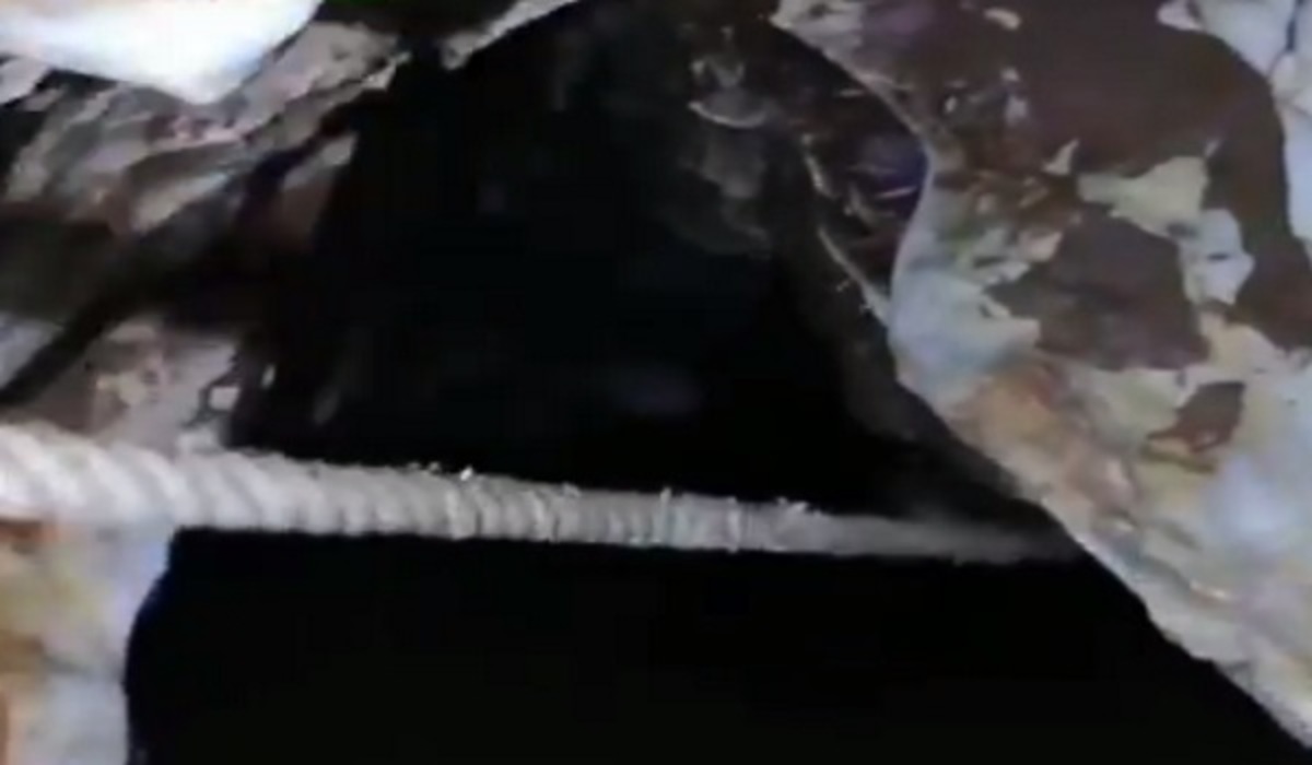 Ταϊλάνδη: Βίντεο ντοκουμέντο που κόβει την ανάσα! Οι δύτες μέσα στη σπηλιά