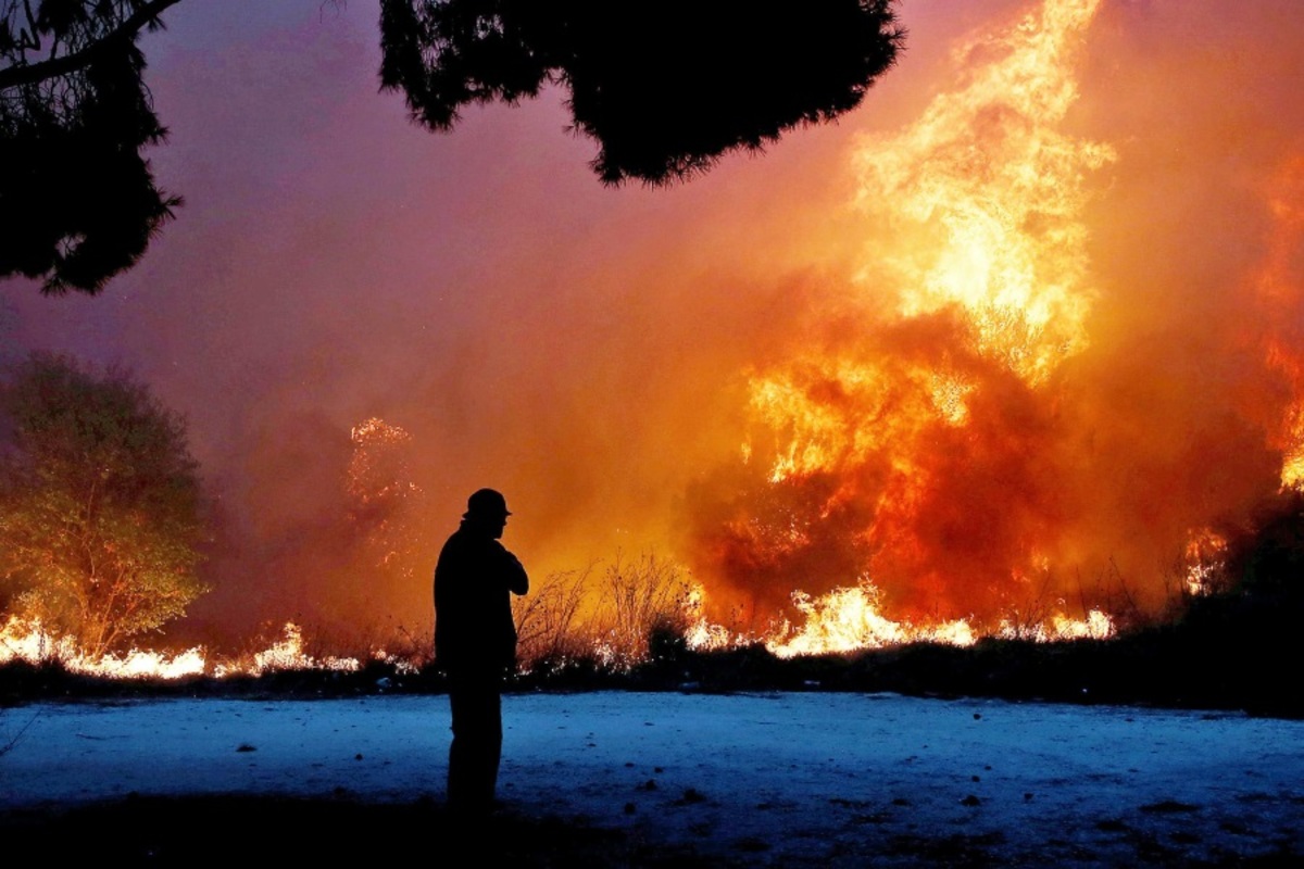 Γνωστοί Έλληνες μιλούν για τις τραγικές στιγμές που έζησαν στις φονικές πυρκαγιές της Αττικής