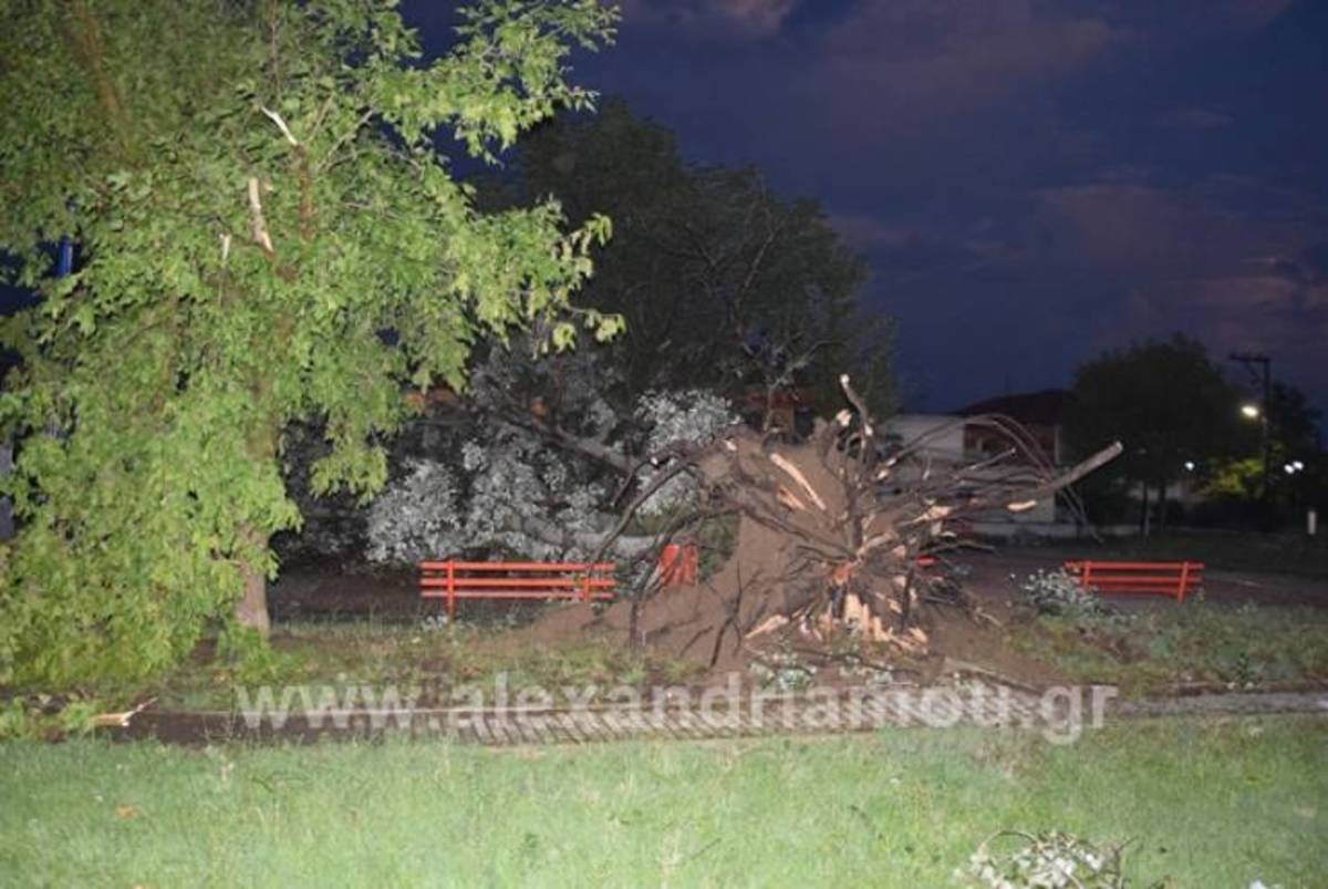 Ανεμοστρόβιλος σάρωσε τα πάντα στα Τρίκαλα Ημαθίας! Μεγάλες καταστροφές – video