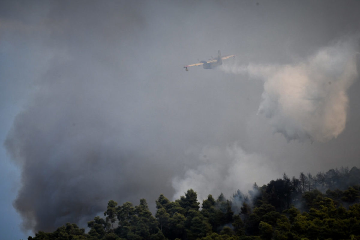 Φωτιά στην Ηλεία: “Κρίσιμες οι επόμενες ώρες! Είναι σε πλήρη εξέλιξη”