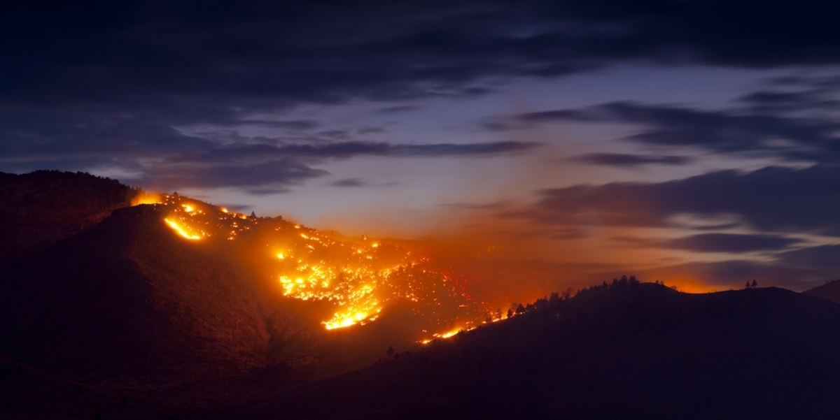 Το act4Greece και η Εθνική Τράπεζα στέκονται στο πλευρό των πληγέντων από τις πυρκαγιές στην Αττική