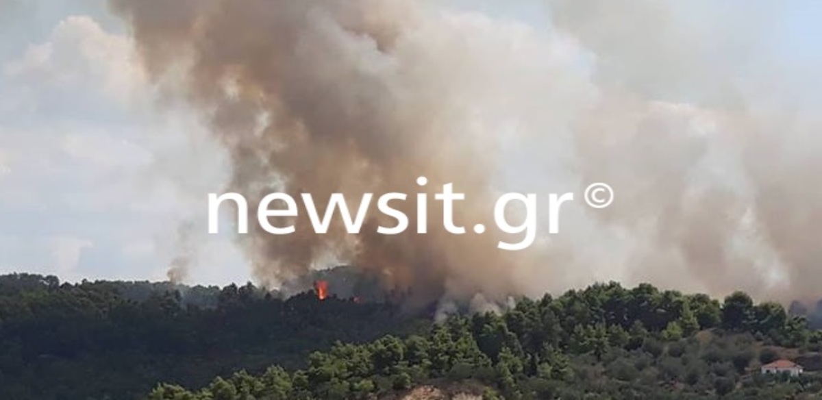 Καίγεται η Ηλεία! – Μάχη με την φωτιά δίνουν οι πυροσβέστες σε δύο “μέτωπα” [pics] – video