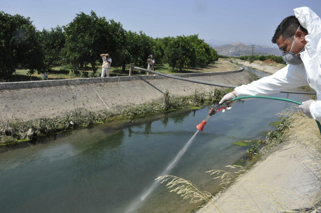 Μέτρα προστασίας στην Ελλάδα από τον ιό του Δυτικού Νείλου – Μεταδίδεται στους ανθρώπους με το τσίμπημα μολυσμένων κουνουπιών