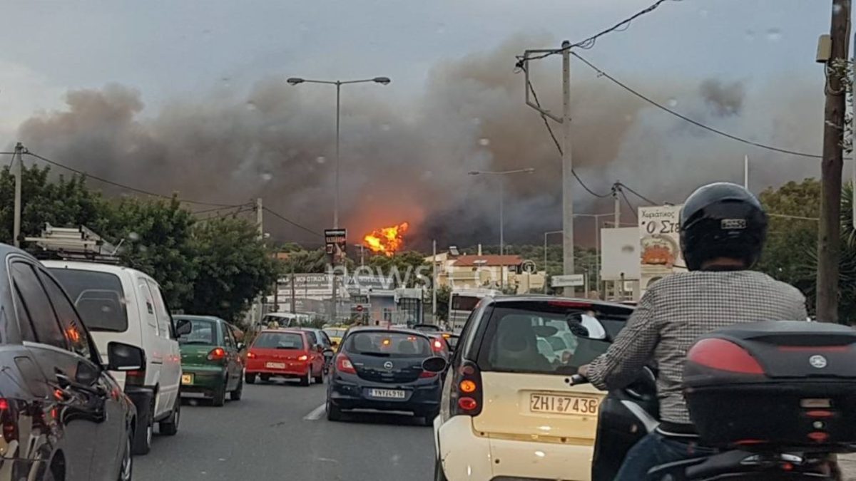 “Η φωτιά έφτασε στην Κυανή Ακτή!” Η Αποκάλυψη – σοκ για το αλαλούμ Αστυνομίας και Πυροσβεστικής – Πως μπορεί να κάηκαν άνθρωποι από λάθος εντολές