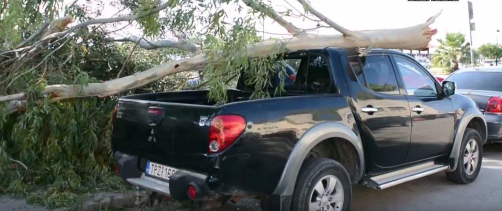 Ναύπλιο: Μεγάλο δέντρο έσπασε απ’ τον αέρα και καταπλάκωσε αυτοκίνητο – video