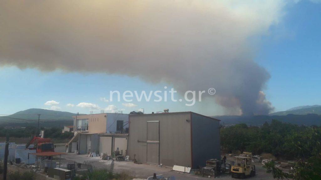 Φωτιά στα Ψαχνά – Εικόνα ντοκουμέντο από τους αναγνώστες του newsit.gr