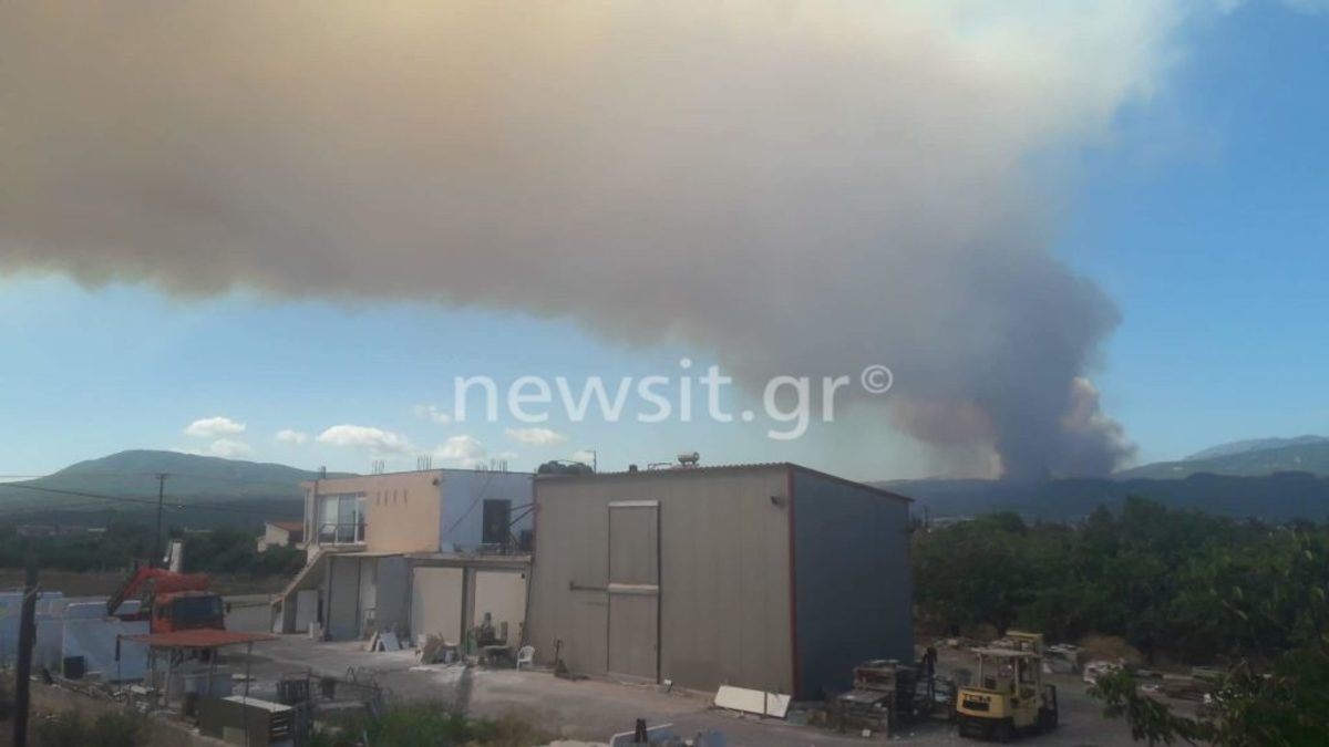 Φωτιά στα Ψαχνά – Εικόνα ντοκουμέντο από τους αναγνώστες του newsit.gr