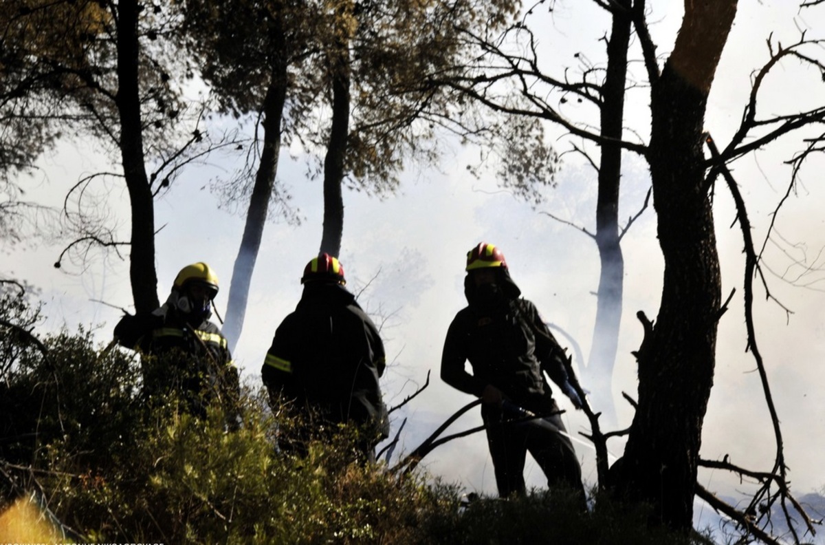 Ελέγχονται οι δύο πυρκαγιές στην Κερατέα – Άνεμοι έως 7 μποφόρ στην περιοχή!