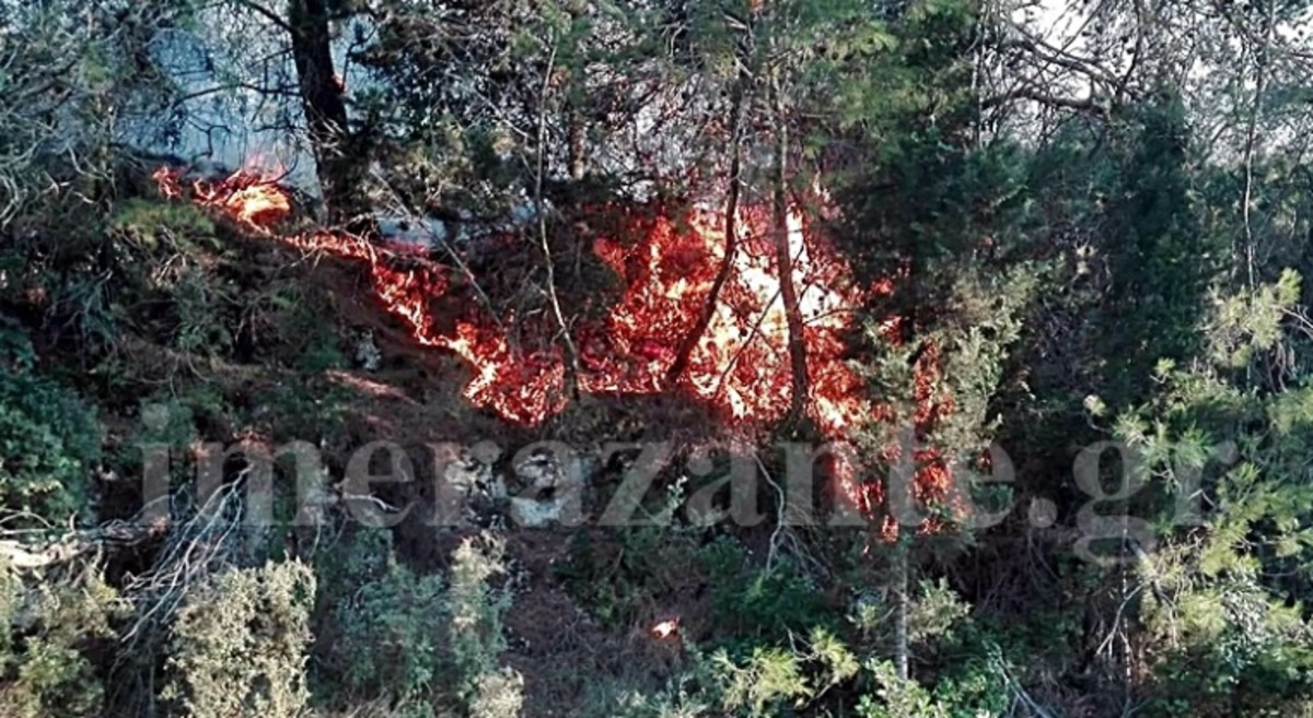 Φωτιές στη Ζάκυνθο: Συνεχείς αναζωπυρώσεις και στα δύο μέτωπα! Έφτασαν ενισχύσεις