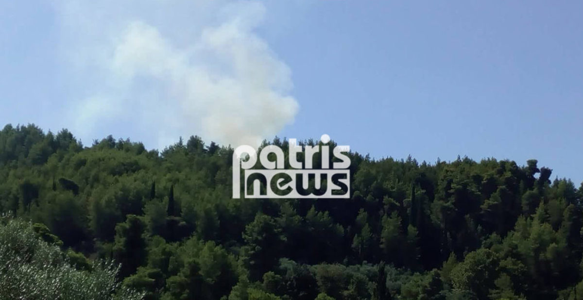 Ηλεία: Νέα εστία φωτιάς στα Λυμπεραίικα – video