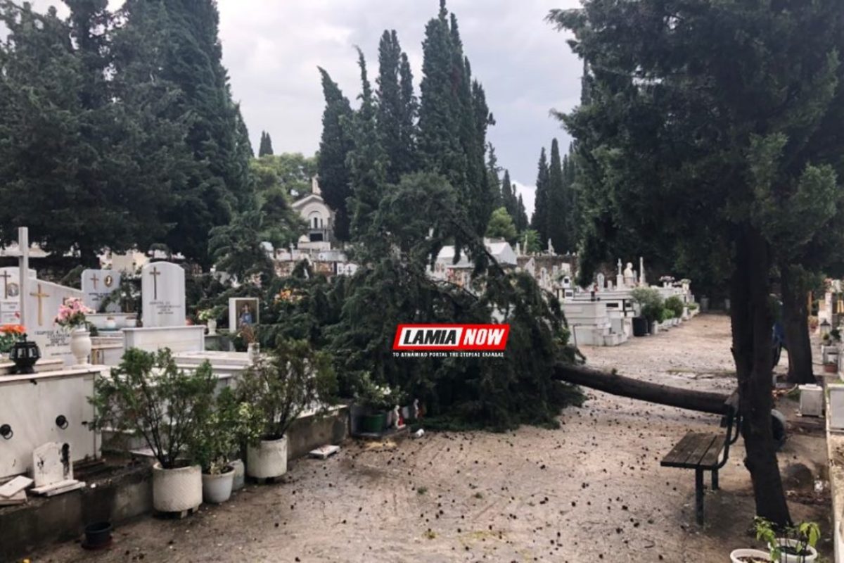Οργή… καιρού στη Λαμία! Έπεσαν κυπαρίσσια στο νεκροταφείο [pics]