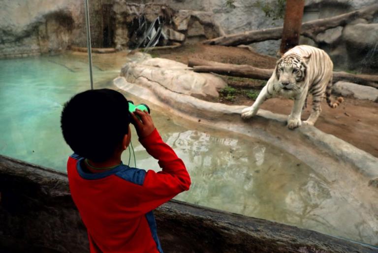 Πρόστιμα σε όσους ταΐζουν τα ζώα στον Ζωολογικό Κήπο του Πεκίνου!