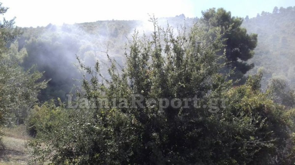 Φθιώτιδα: Δύο φωτιές σε απόσταση ενός χιλιομέτρου