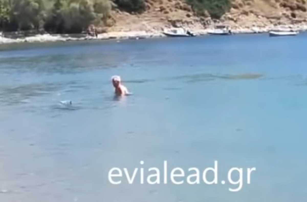 Δελφίνι βγήκε σε παραλία της Σκύρου για να παίξει με τον κόσμο! – video