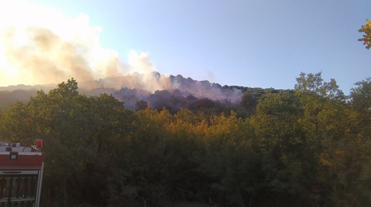 Αλεξανδρούπολη – Δεύτερη φωτιά μέσα σε λίγες ώρες στην ίδια περιοχή!