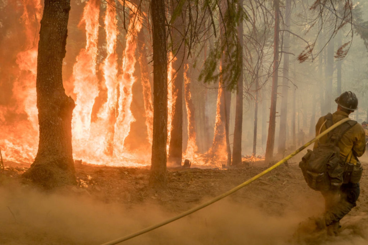 Ένας πυροσβέστης νεκρός από την φωτιά στην Καλιφόρνια – Η μεγαλύτερη στην ιστορία της πολιτείας