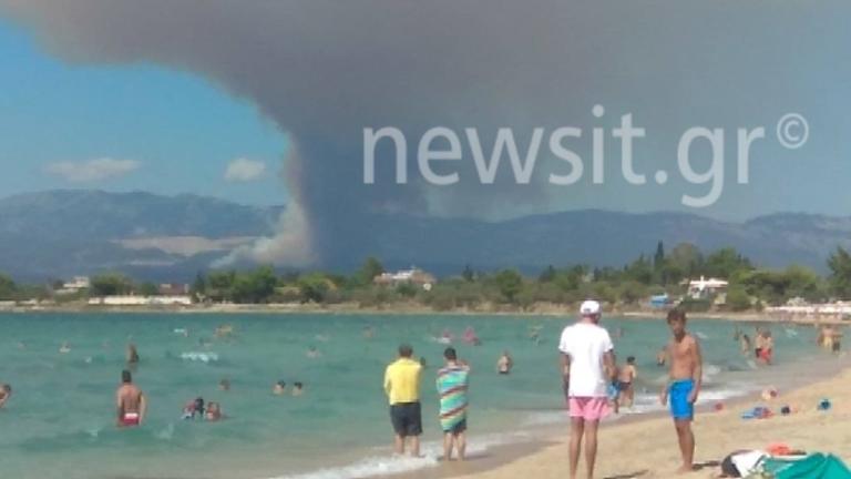 Εκκενώνονται χωριά στην Εύβοια – Οι φλόγες καίνε το χωριό Κοντοδεσπότι κοντά στα Ψαχνά – Τριπλό μέτωπο στην Εύβοια
