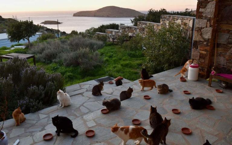 Time: Η δουλειά των ονείρων σου σε πανέμορφο ελληνικό νησί!