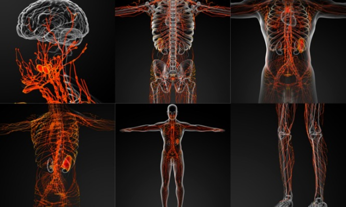 Τα “αθώα” συμπτώματα από την αταξία γλουτένης που προσβάλλει το νευρικό σύστημα – Προσοχή!