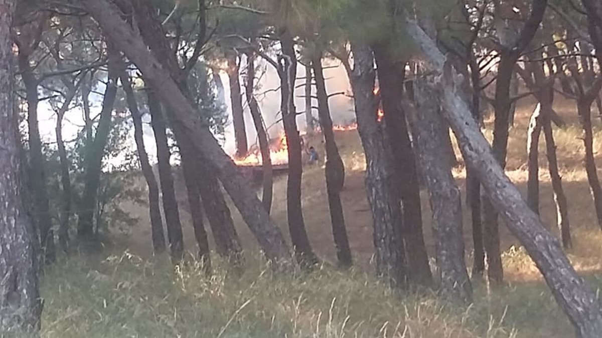 Μυτιλήνη: Φωτιά στα Τσαμάκια [pics]