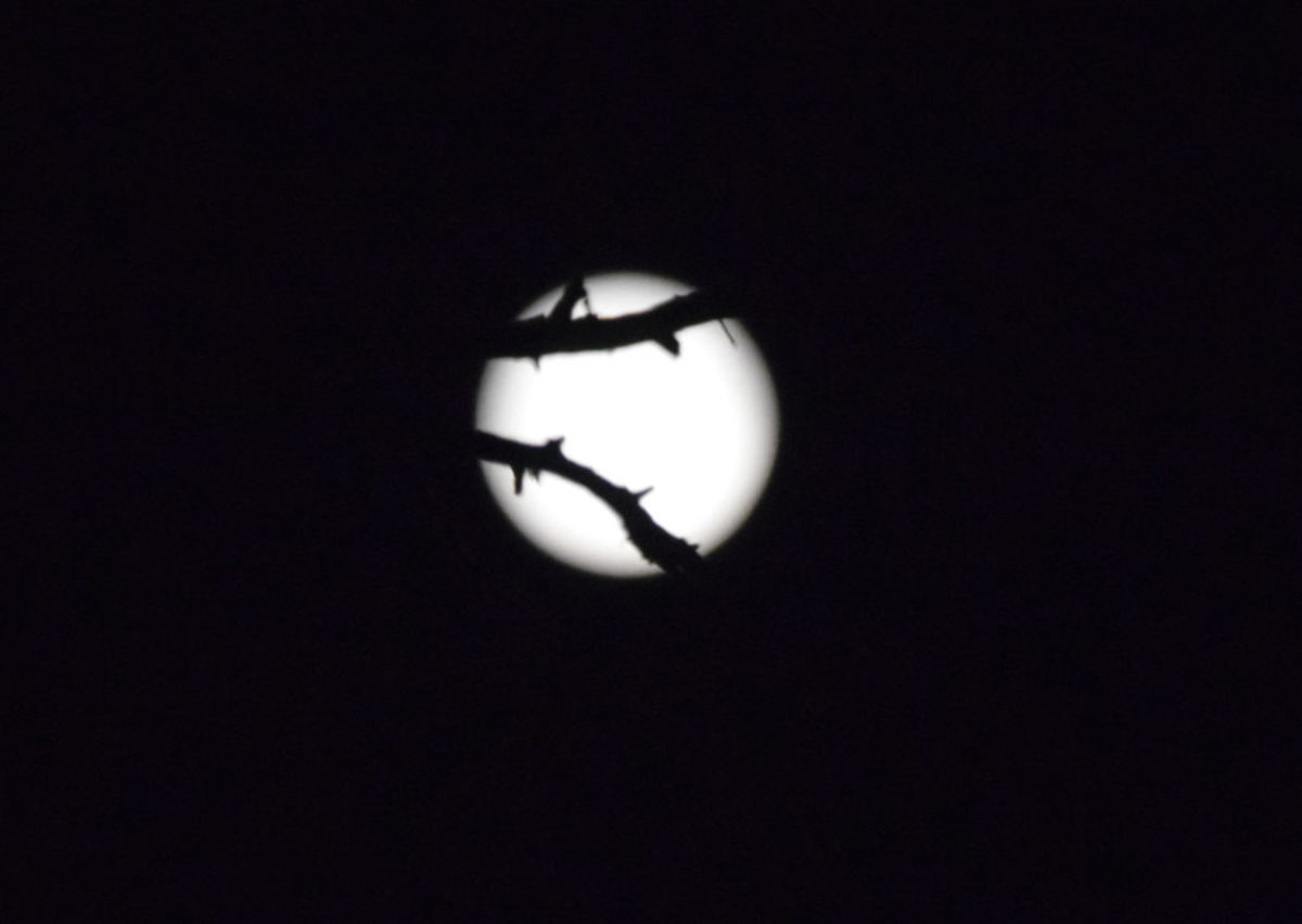 Αυγουστιάτικο φεγγάρι: Μάγεψε η τελευταία πανσέληνος του καλοκαιριού! [pics]